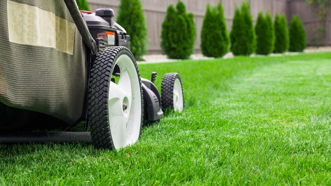 Kan Cut Grass Cutting — professional lawn mowing service on Prince Edward Island